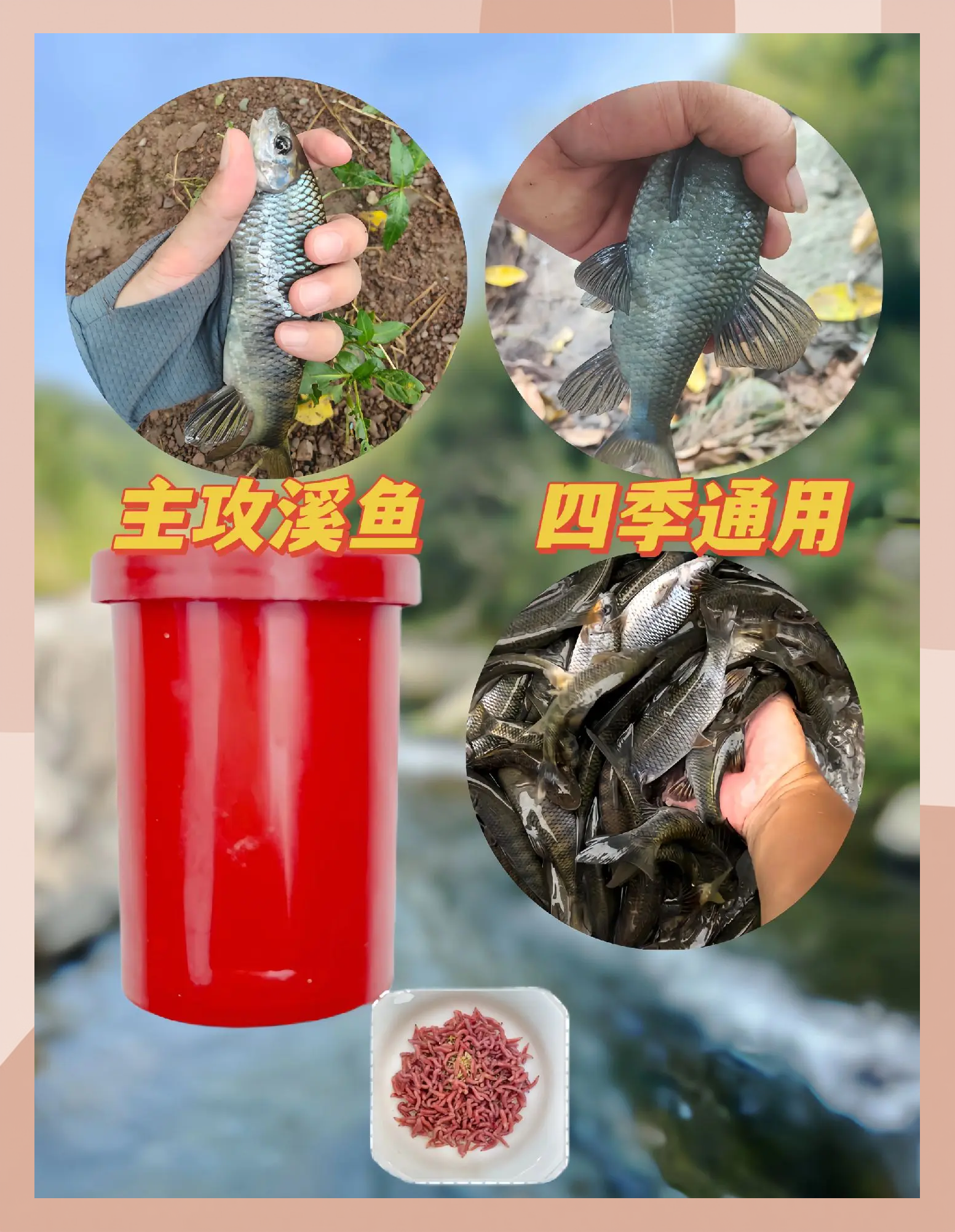 如何变红饵料(如何变红饵料的颜色)