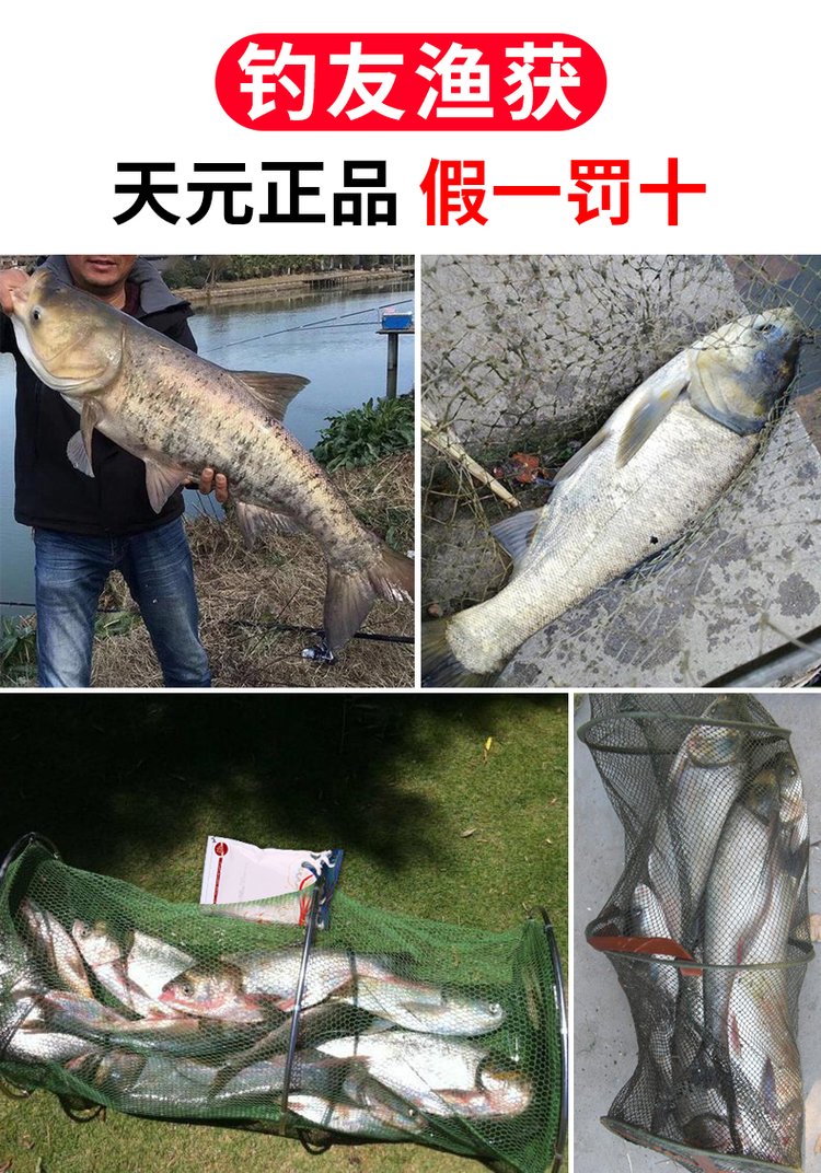 东江钓大头饵料(海南免税店有没有限额)