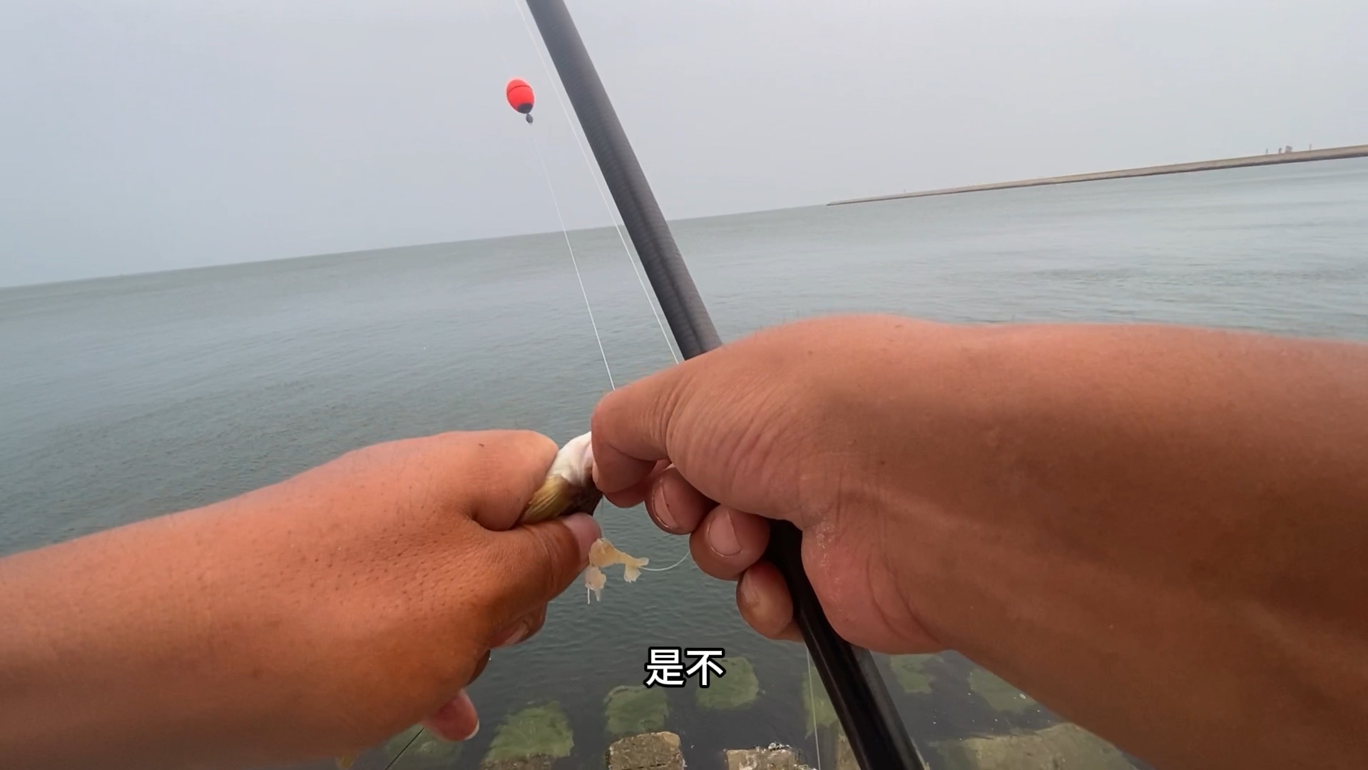 退潮海边钓鱼技巧大全(海钓退潮在什么地方钓鱼好)