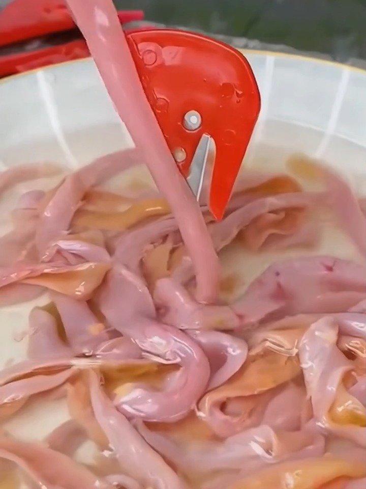 海钓用鸡肠(海钓鸡肠虫图片大全)