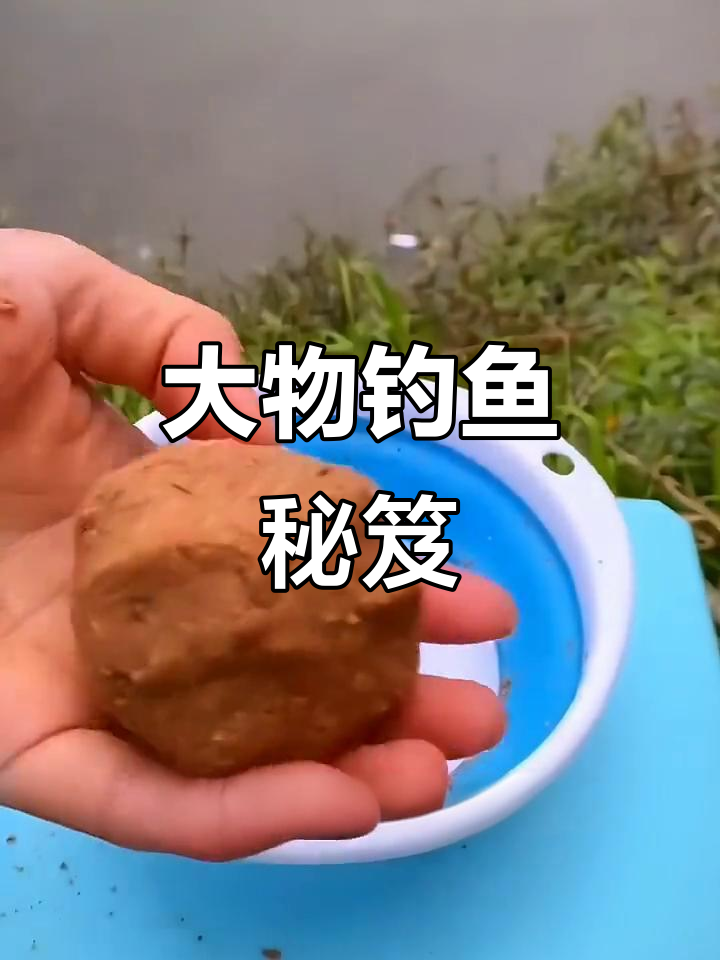 爆炸草鱼饵料(初春钓草鱼的爆炸钩饵料)