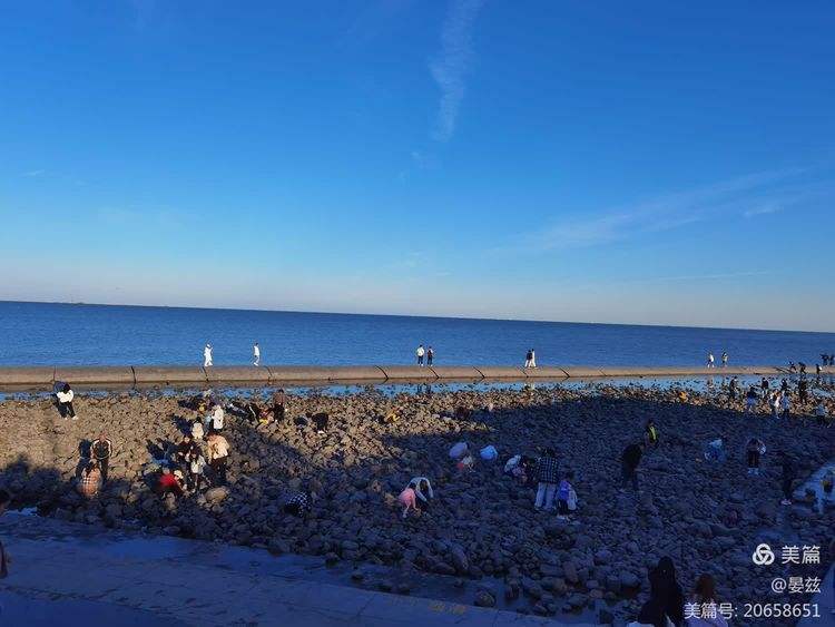 天津11月海钓(天津冬天海钓地点)