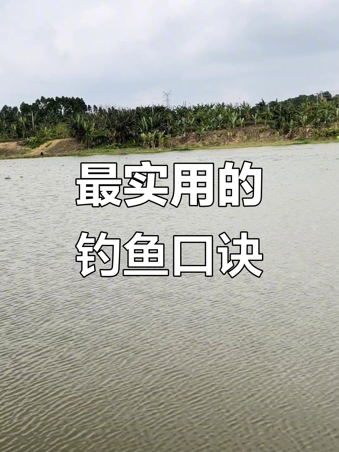 揭秘海边钓鱼技巧大全(揭秘海边钓鱼技巧大全视频)