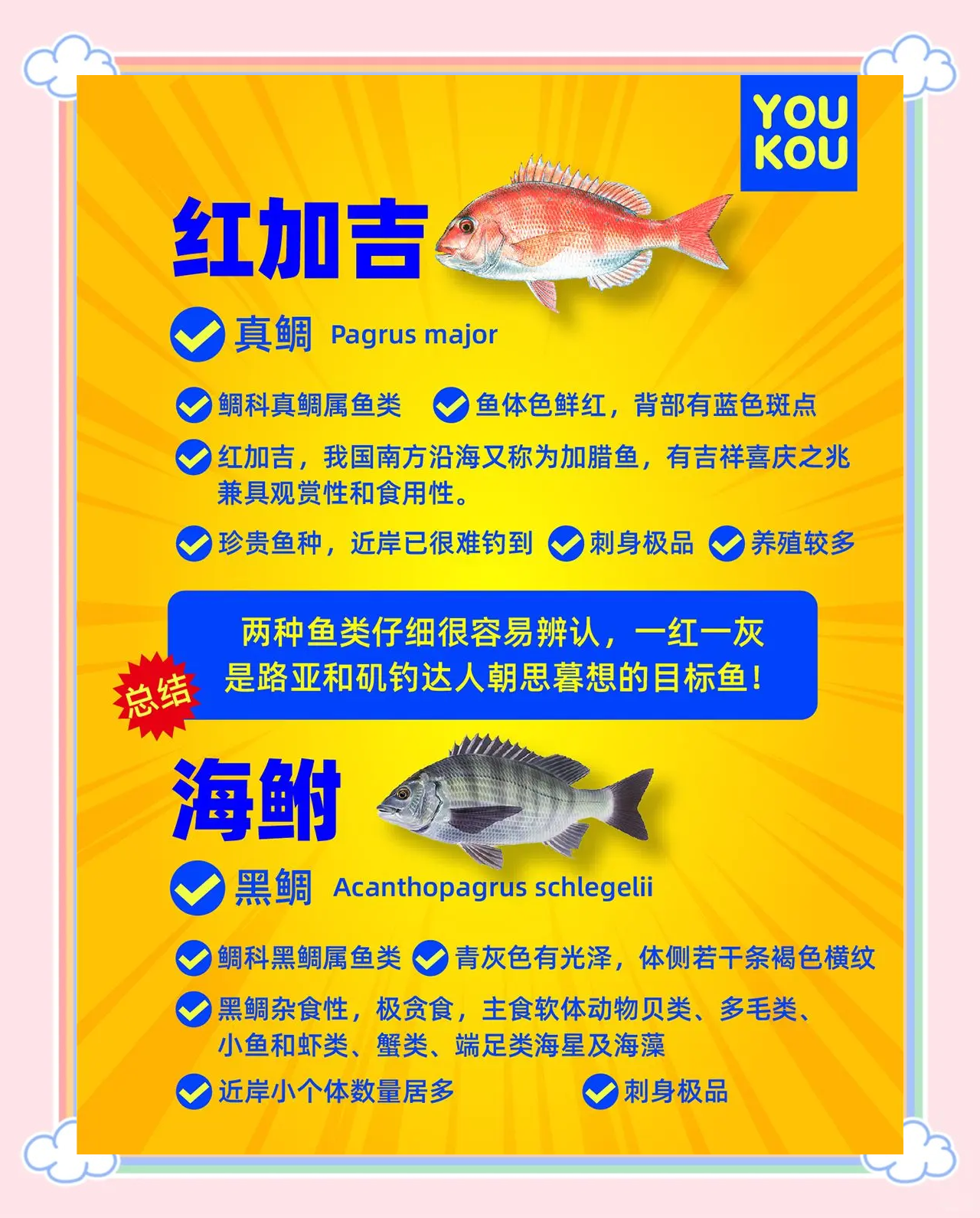 海钓红油鱼技巧(海钓黑鲷十句口诀)
