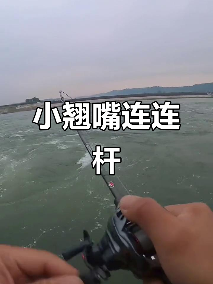 长江急流如何路亚(长江急流路亚翘嘴)