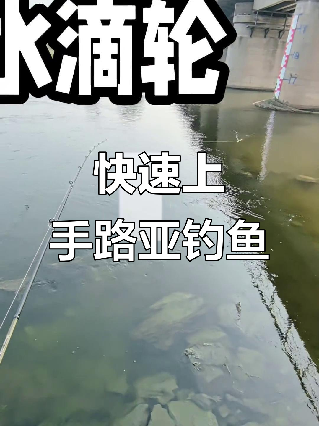 长江急流如何路亚(长江急流路亚翘嘴)
