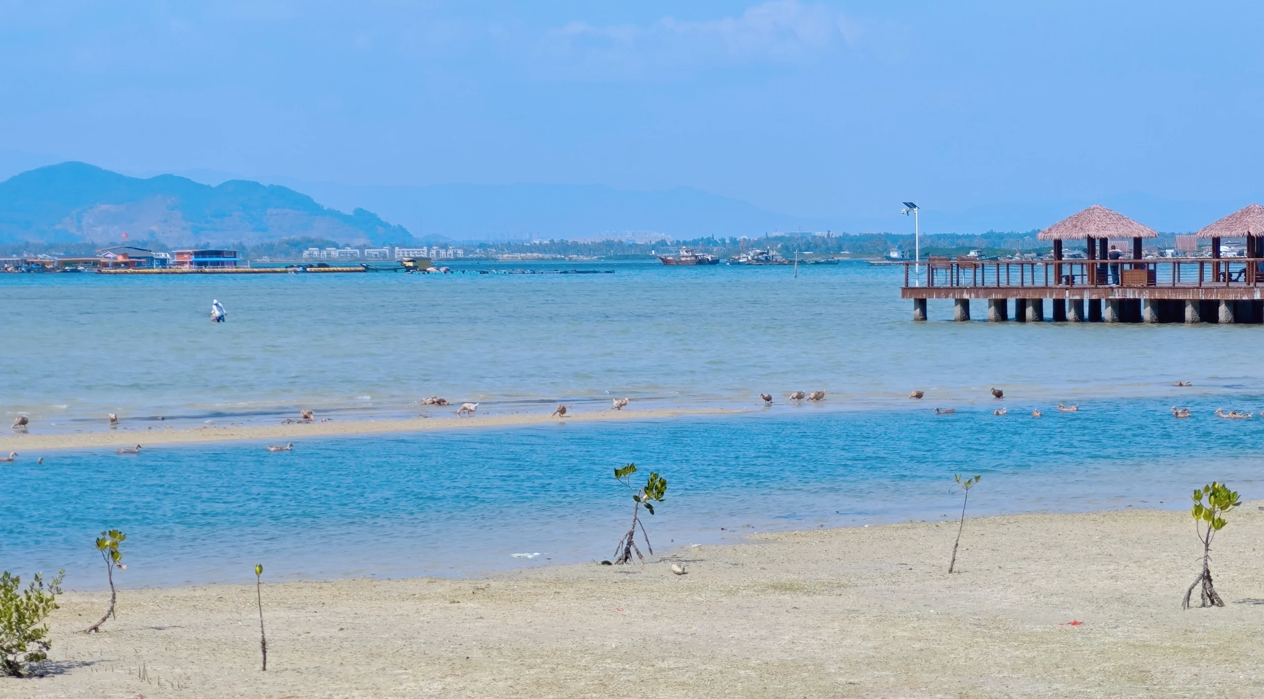 莆田鱼排海钓地方(莆田海边钓鱼)