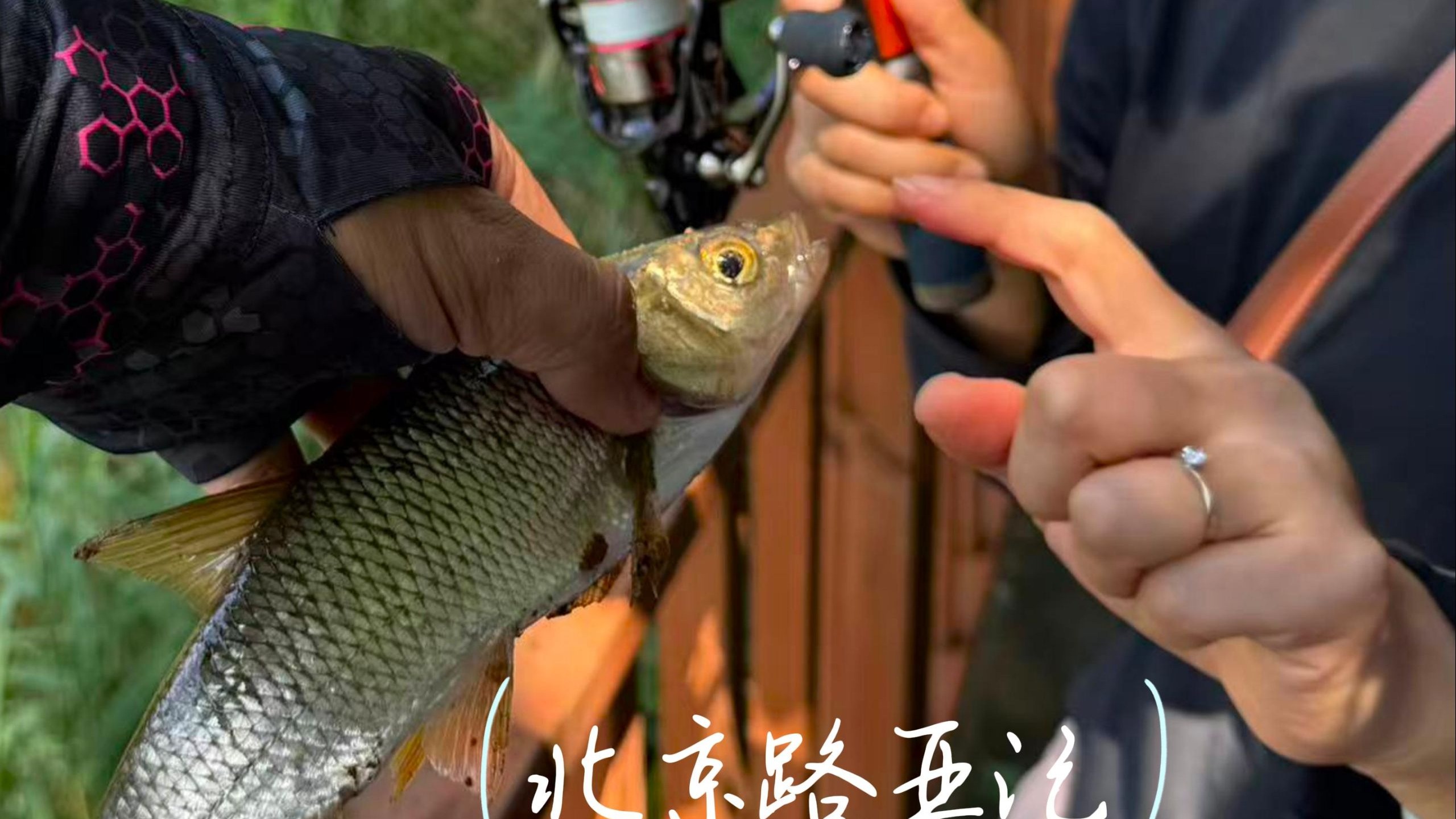 北京冬天路亚(北京冬季路亚钓场)