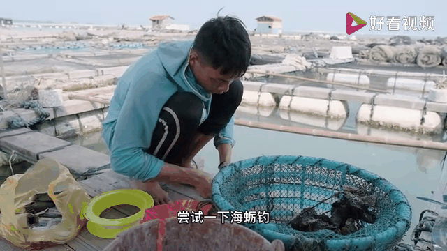 海钓用打窝吗(海钓用不用打窝)
