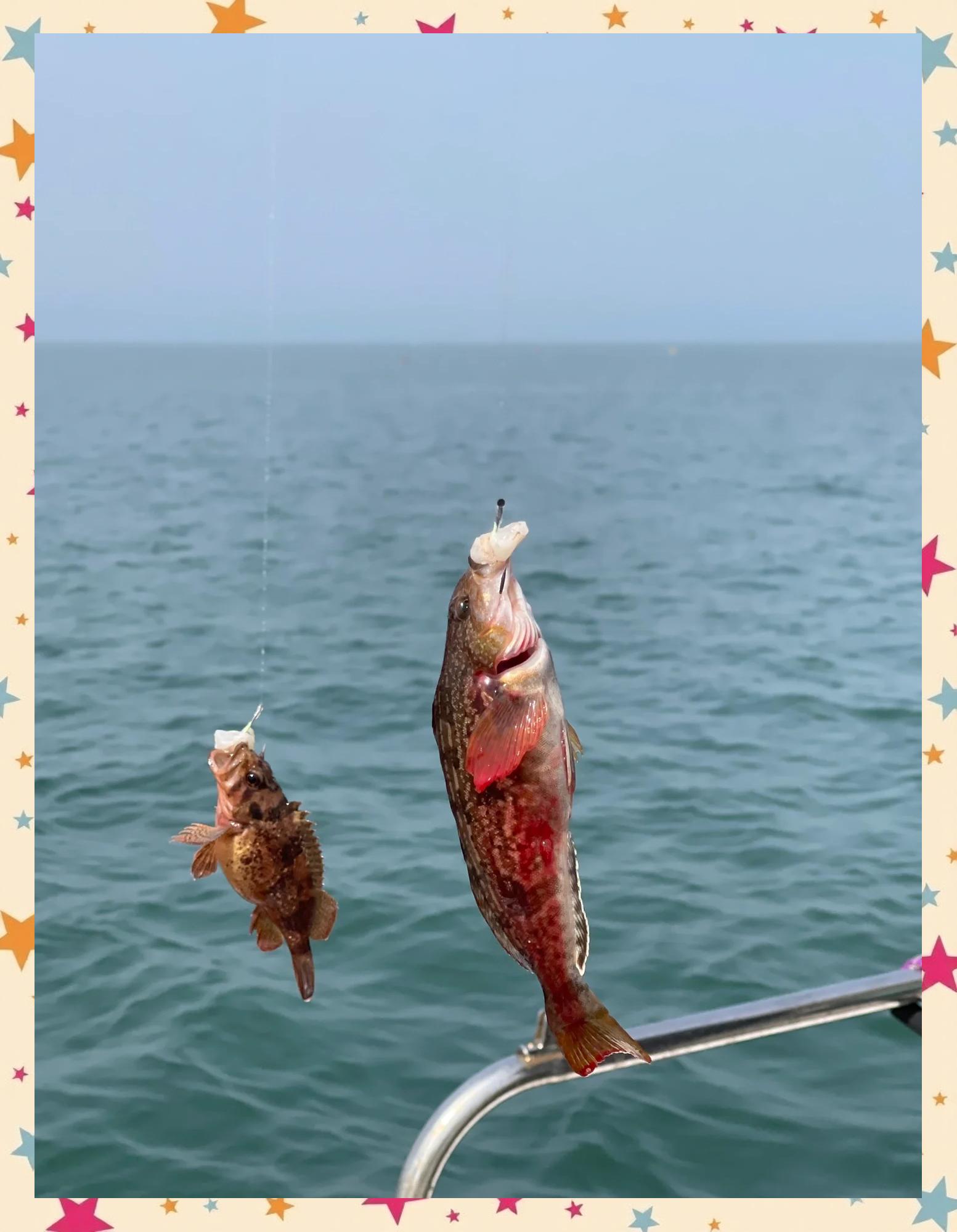 我要看威海海钓(威海海钓岸钓地点)