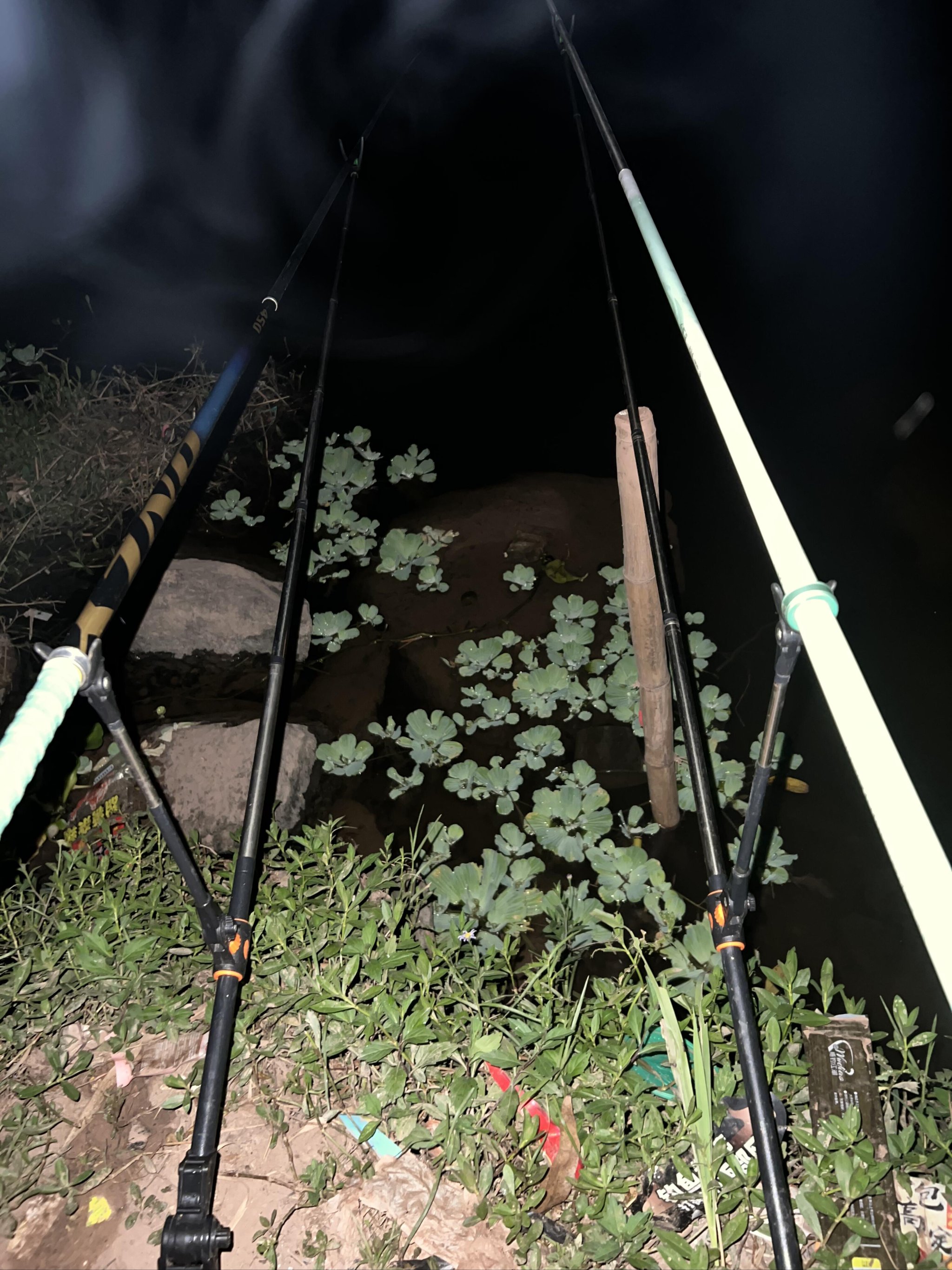 路亚竿怎么钓黄辣丁(夜钓黄辣丁十大绝招)