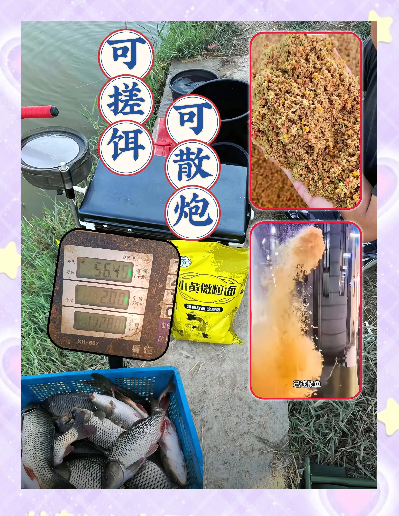 夏季沙坑钓鱼饵料(沙坑钓鱼如何选择钓位和用饵)