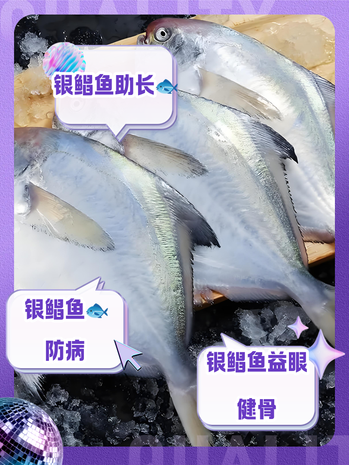 冬季垂钓鲳鱼技巧(垂钓鲳鱼的技巧)