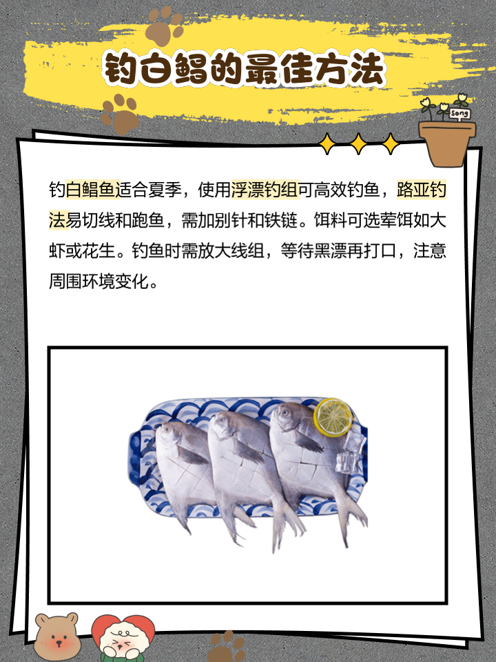 鲳鱼爆炸饵料(鲳鱼用什么饵钓)