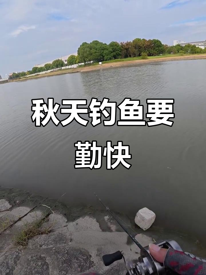 秋天路亚技巧(秋天用路亚钓什么鱼)