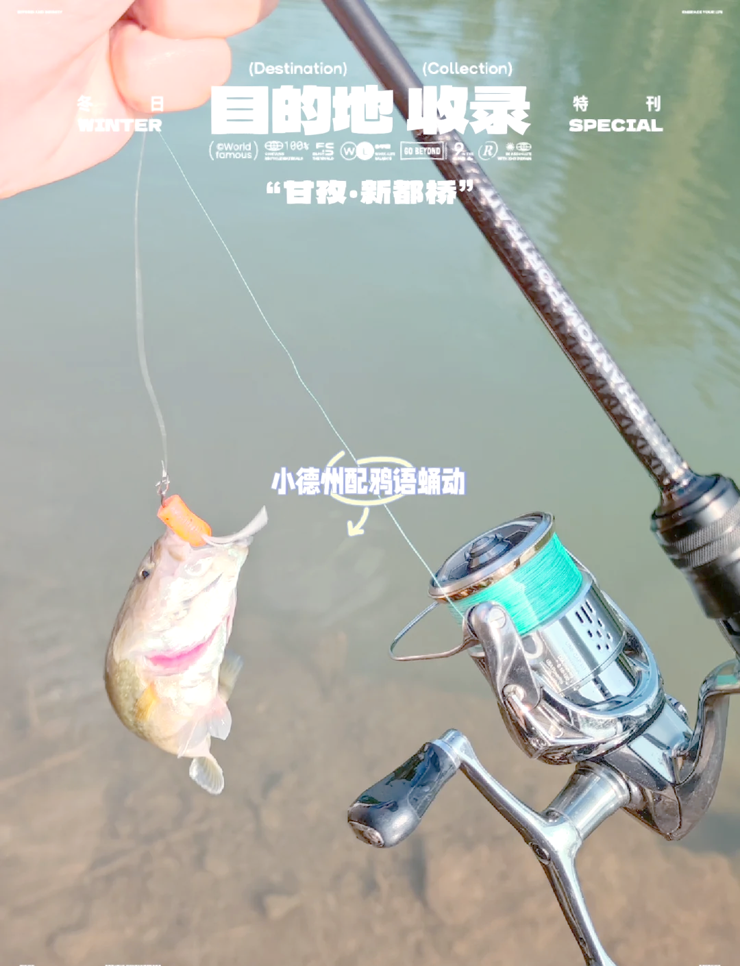 路亚钓鲈鱼(路亚钓鲈鱼视频)