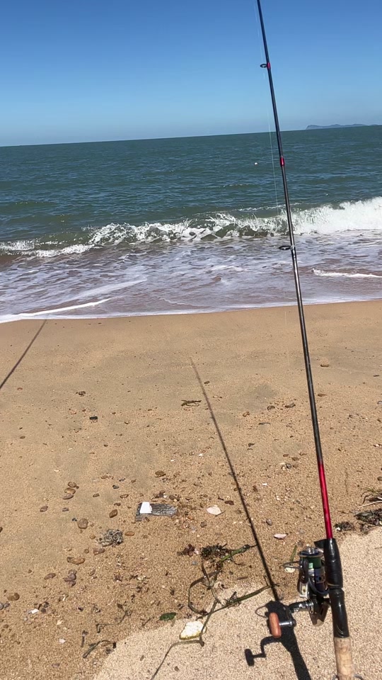 龙口海钓地点天气(龙口钓海鱼的地方?)