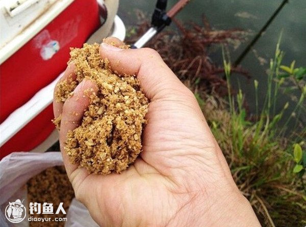 春夏钓鱼的小技巧(春夏钓鱼的小技巧有哪些)
