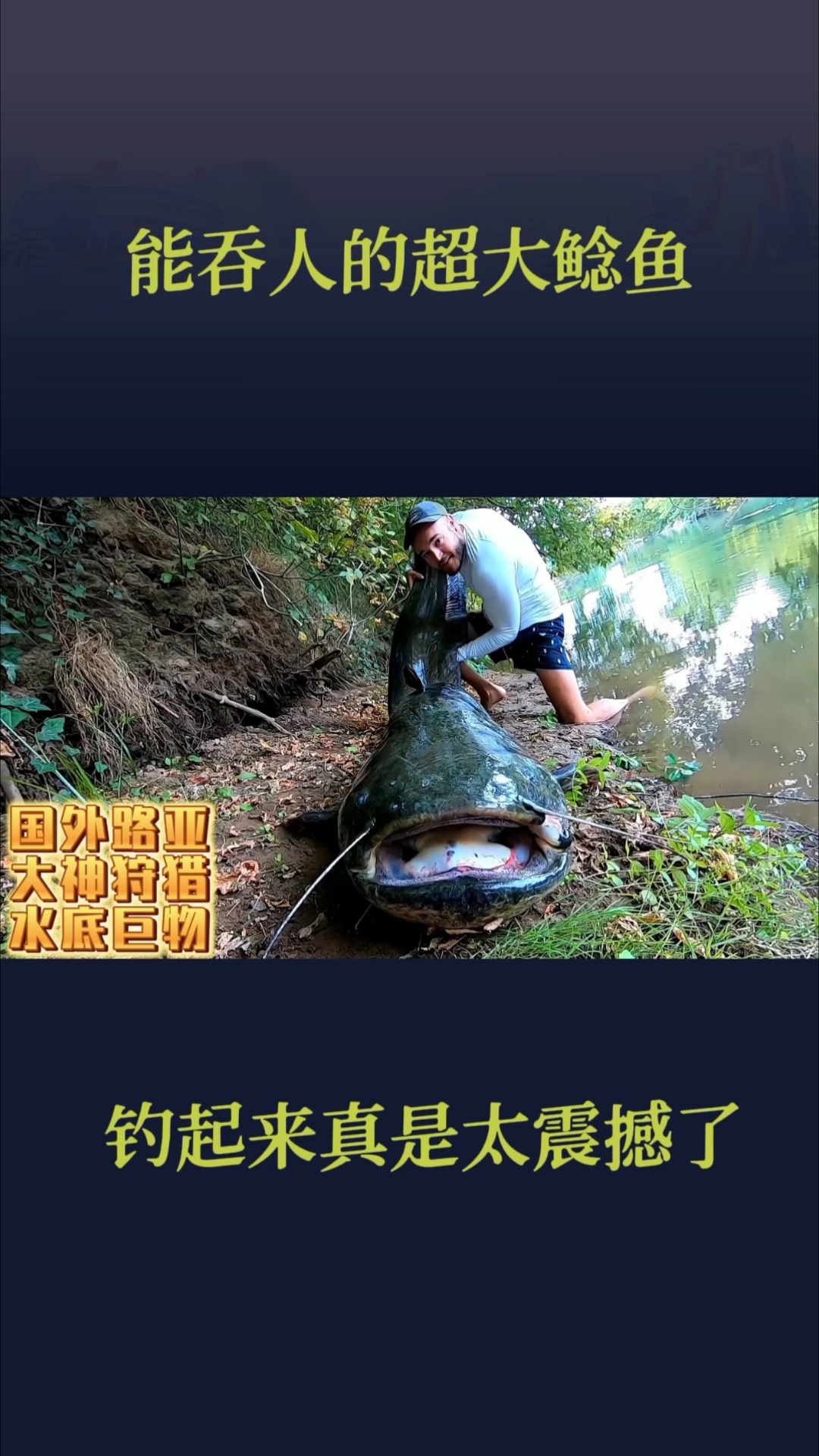 德州钓组路亚鲶鱼(德州路亚钓组图解视频)