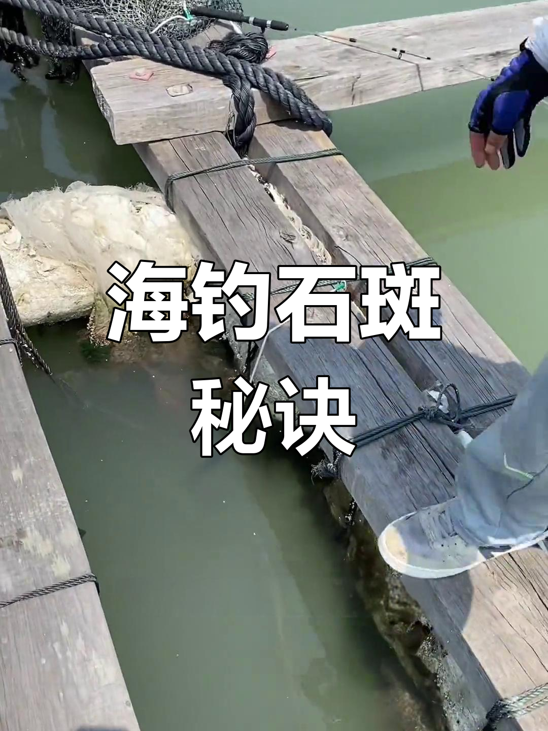 石斑海钓场(海边钓石斑鱼)
