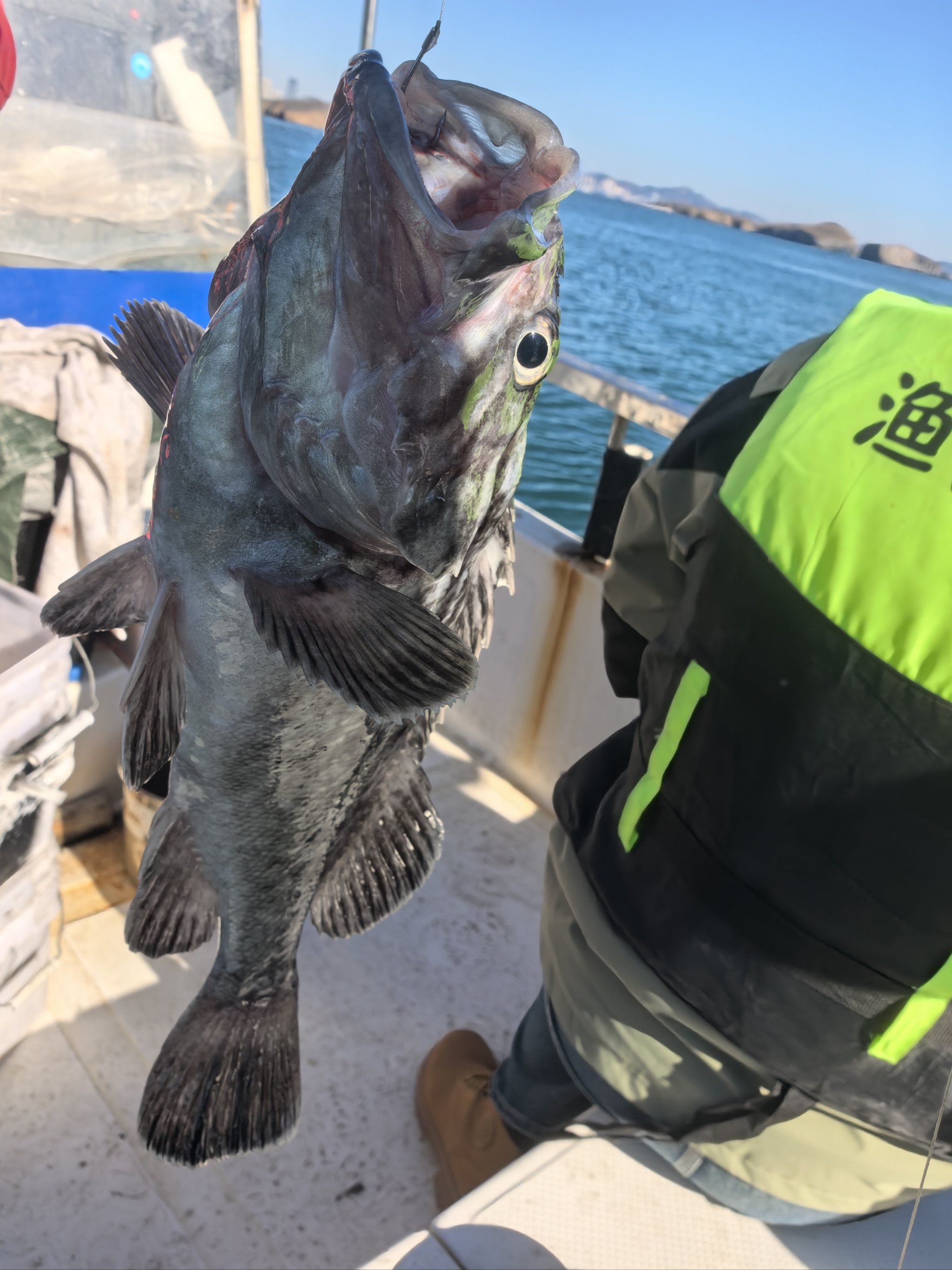 小平岛海钓(小平岛海钓钩扒皮鱼)