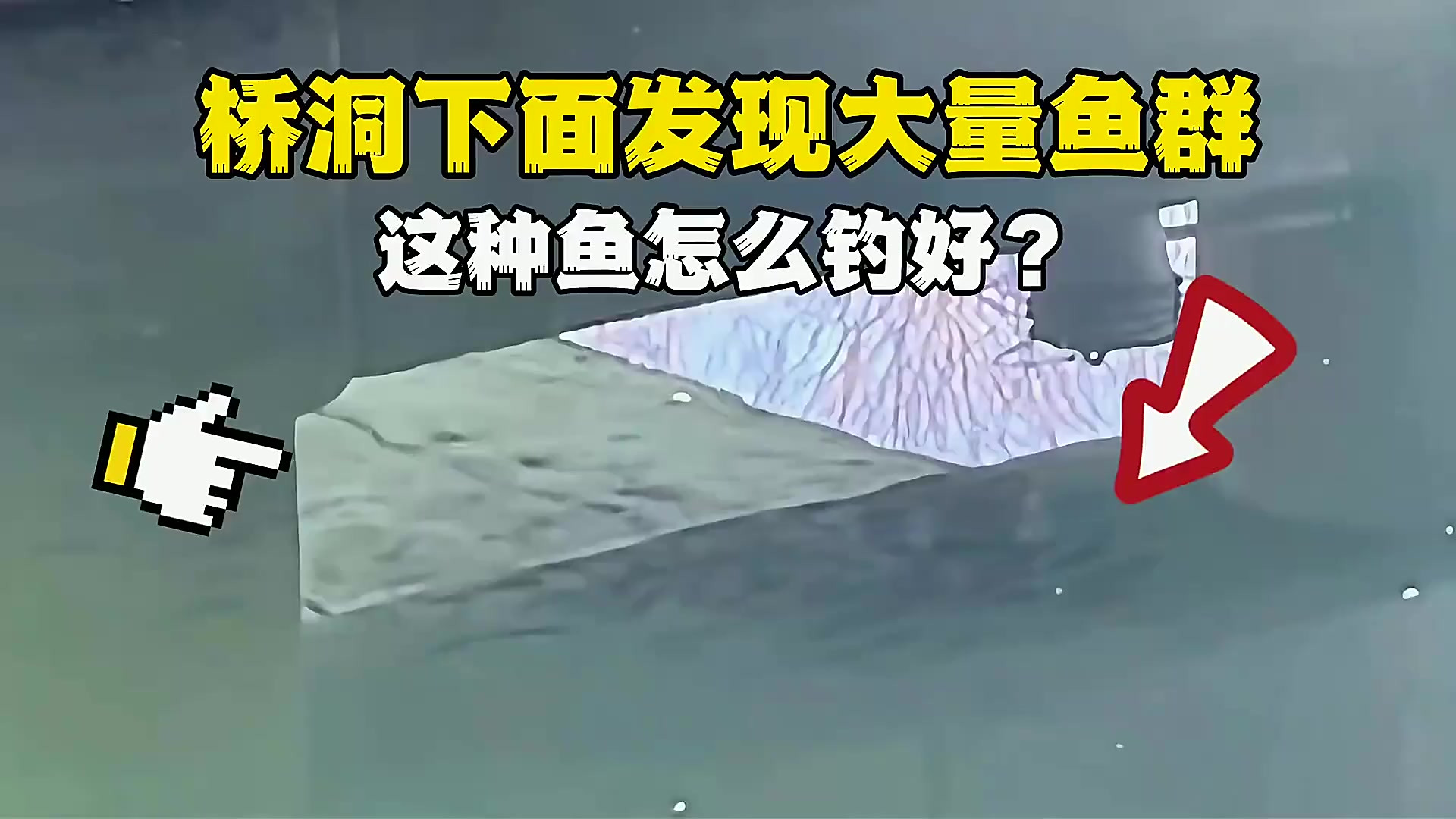 在桥洞边钓鲤鱼技巧(桥洞底下钓鱼)