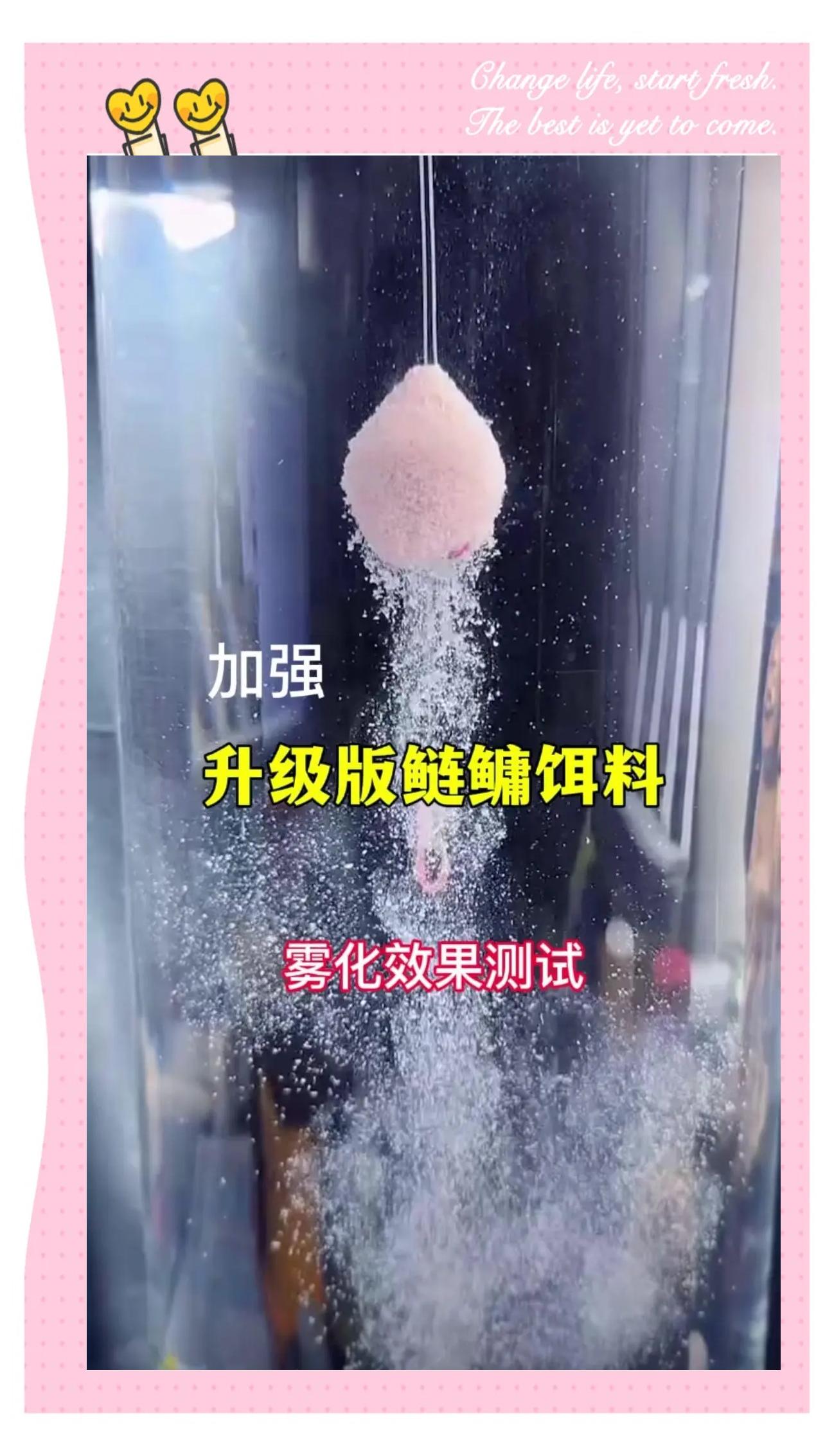雾化饵料哪种好(雾化饵料哪种好用)