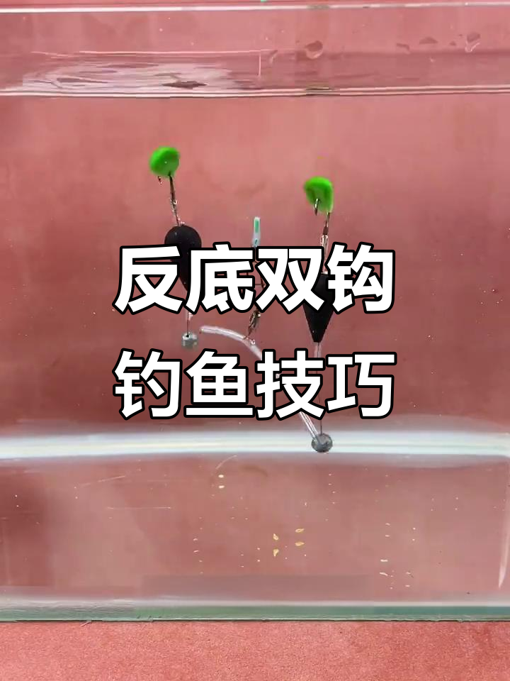 如何钓大鲤鱼技巧(钓大鲤鱼怎么调漂好)