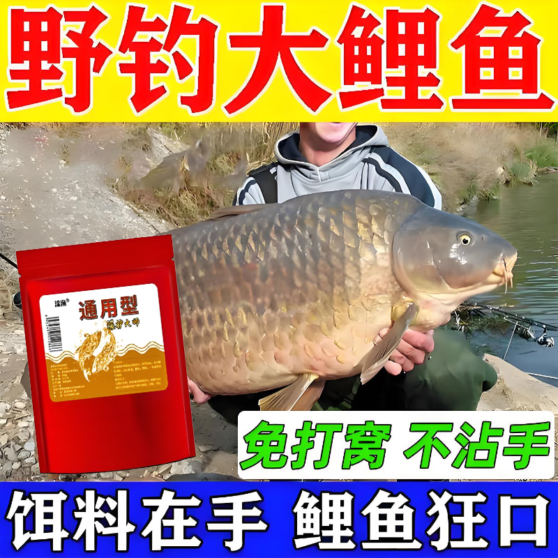 钓鲤鱼最好用什么饵料(钓鲤鱼鱼用什么饵料)