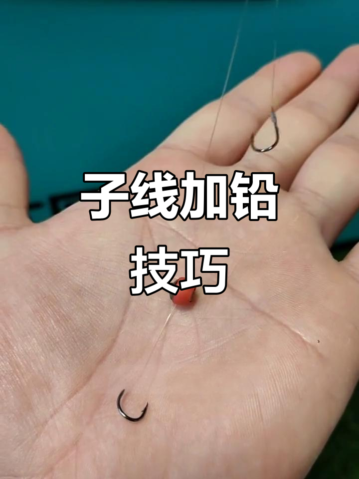 活铅垂钓技巧(活铅垂钓技巧图解)