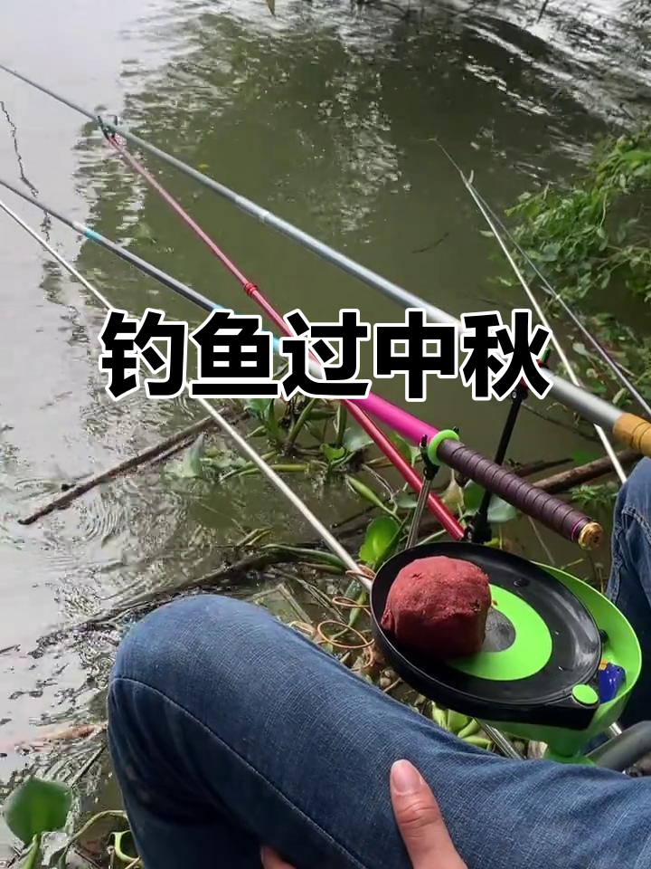 中秋后晚上钓鱼技巧(中秋节晚上钓鱼怎么样)
