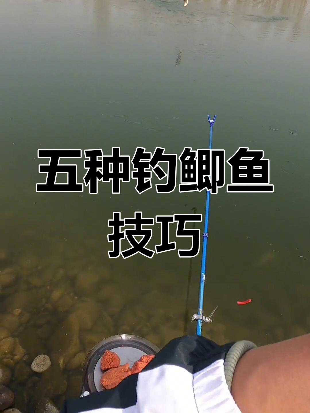黑坑钓鲫鱼用漂技巧(黑坑钓鲫鱼浮漂的选择)