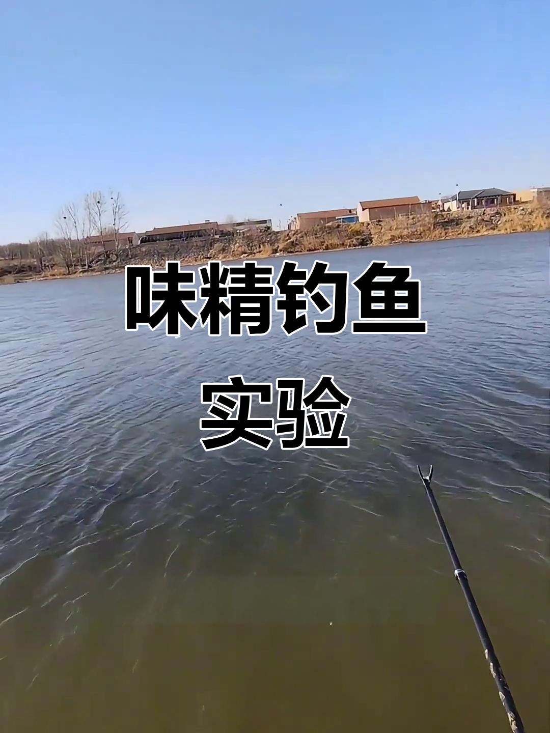 开饵料加味精(钓鱼饵料加味精起什么作用)
