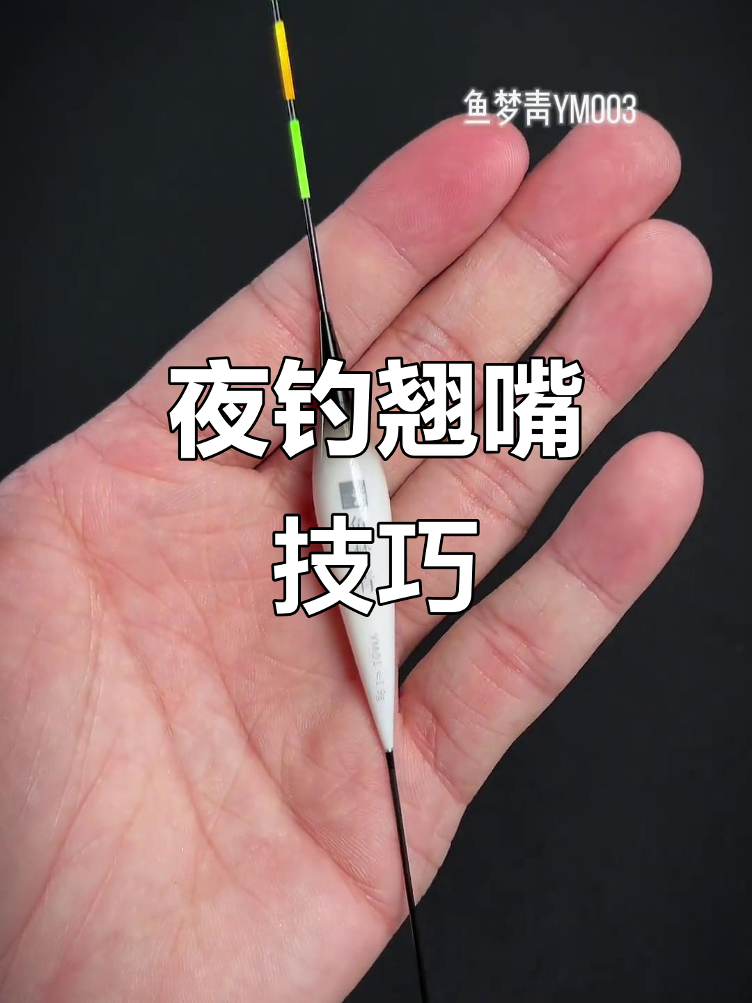 台钓夜钓技巧视频(夜钓教学)