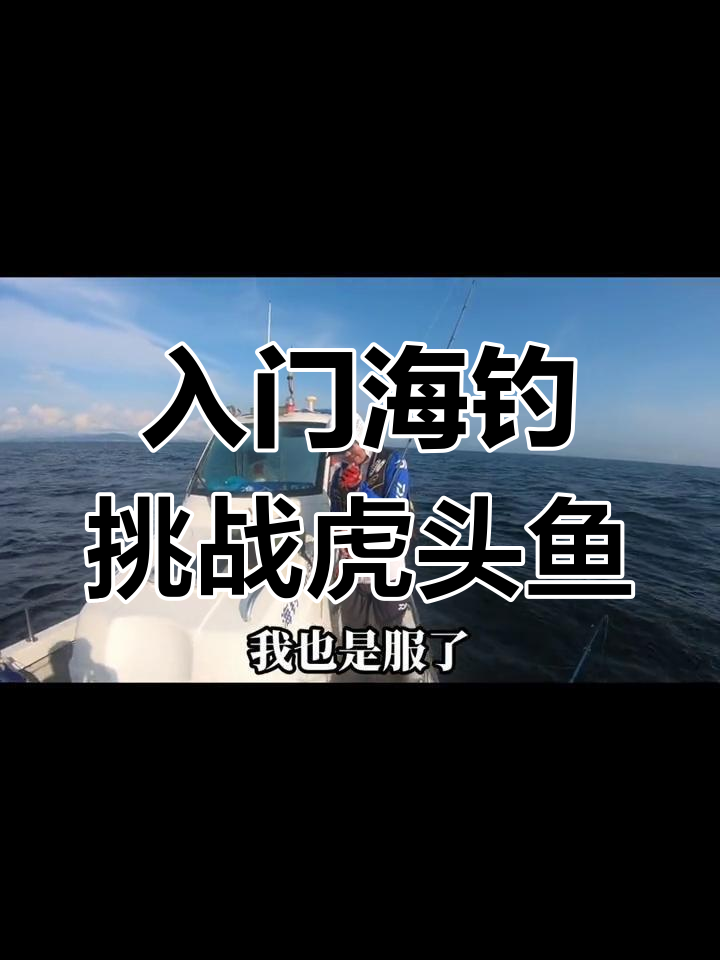 海钓虎头鱼技巧方法(虎头鱼钓组图解)