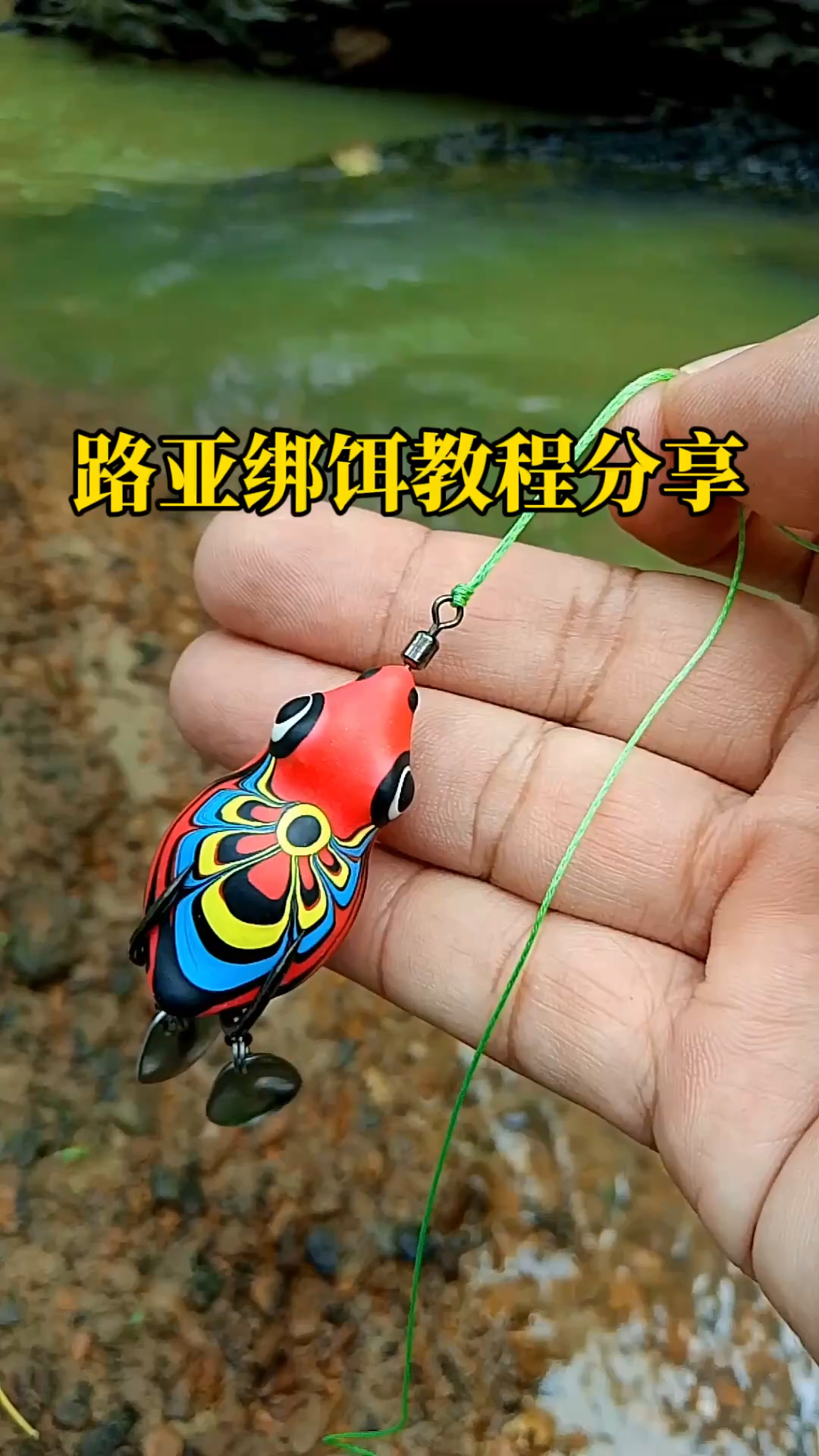 路亚鱼饵绑法视频教程(路亚绑饵教学视频)