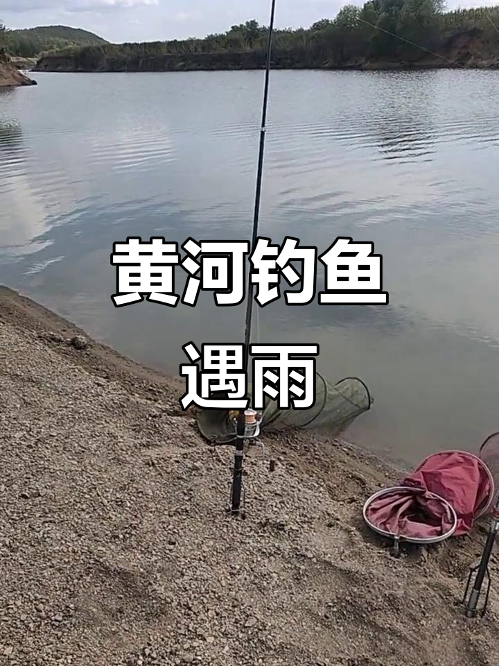 河南黄河段钓鱼技巧(黄河钓鱼的位置的选择)