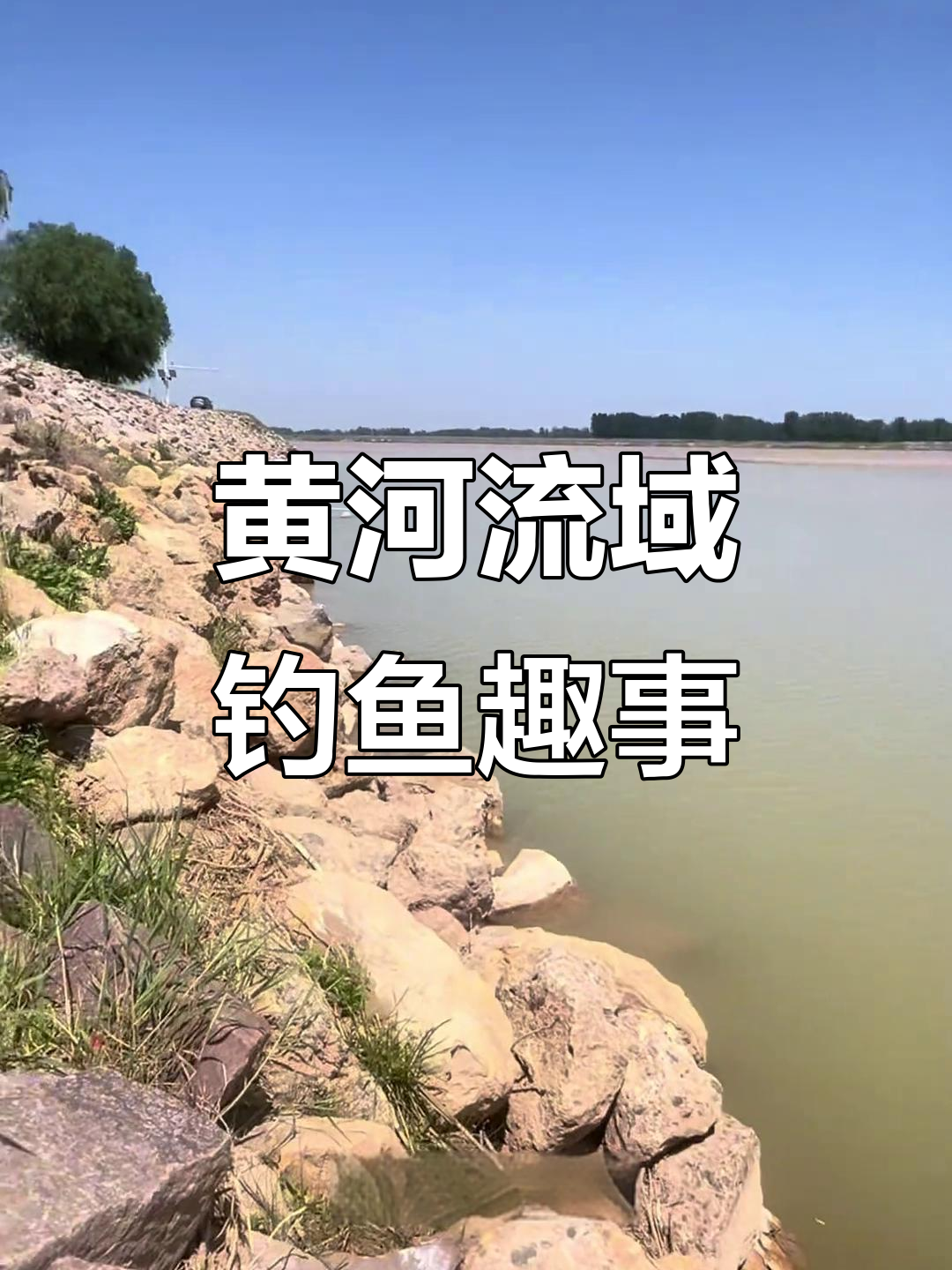 河南黄河段钓鱼技巧(黄河钓鱼的位置的选择)