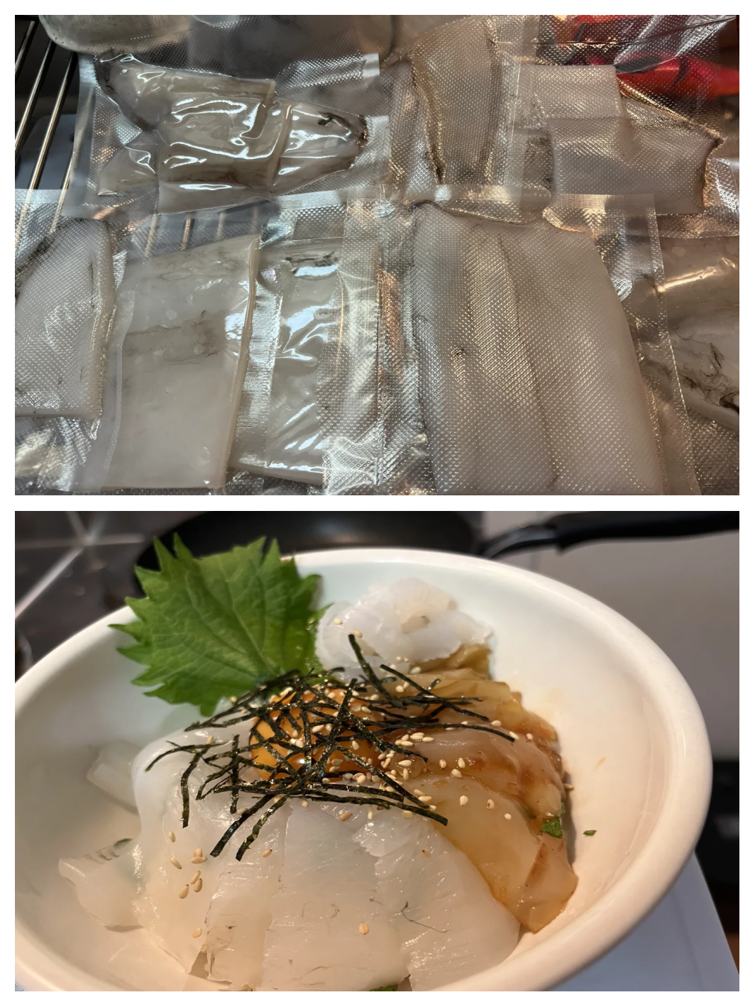 冬天钓鱿鱼技巧(冬鱿鱼在哪钓概率最高)