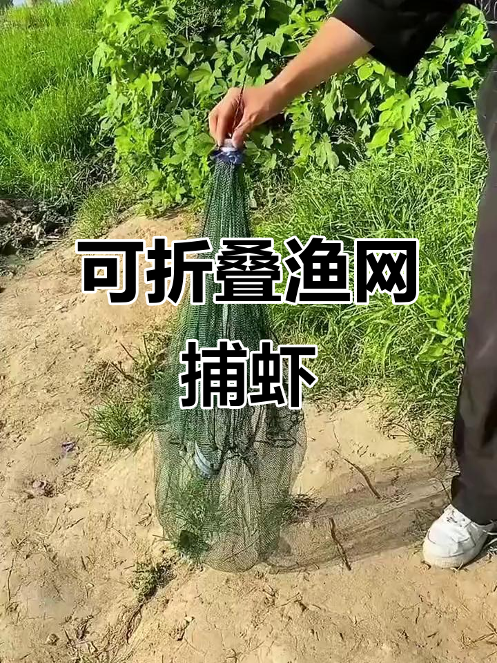 伞状虾笼捕虾技巧视频(伞状虾笼放什么饵料)