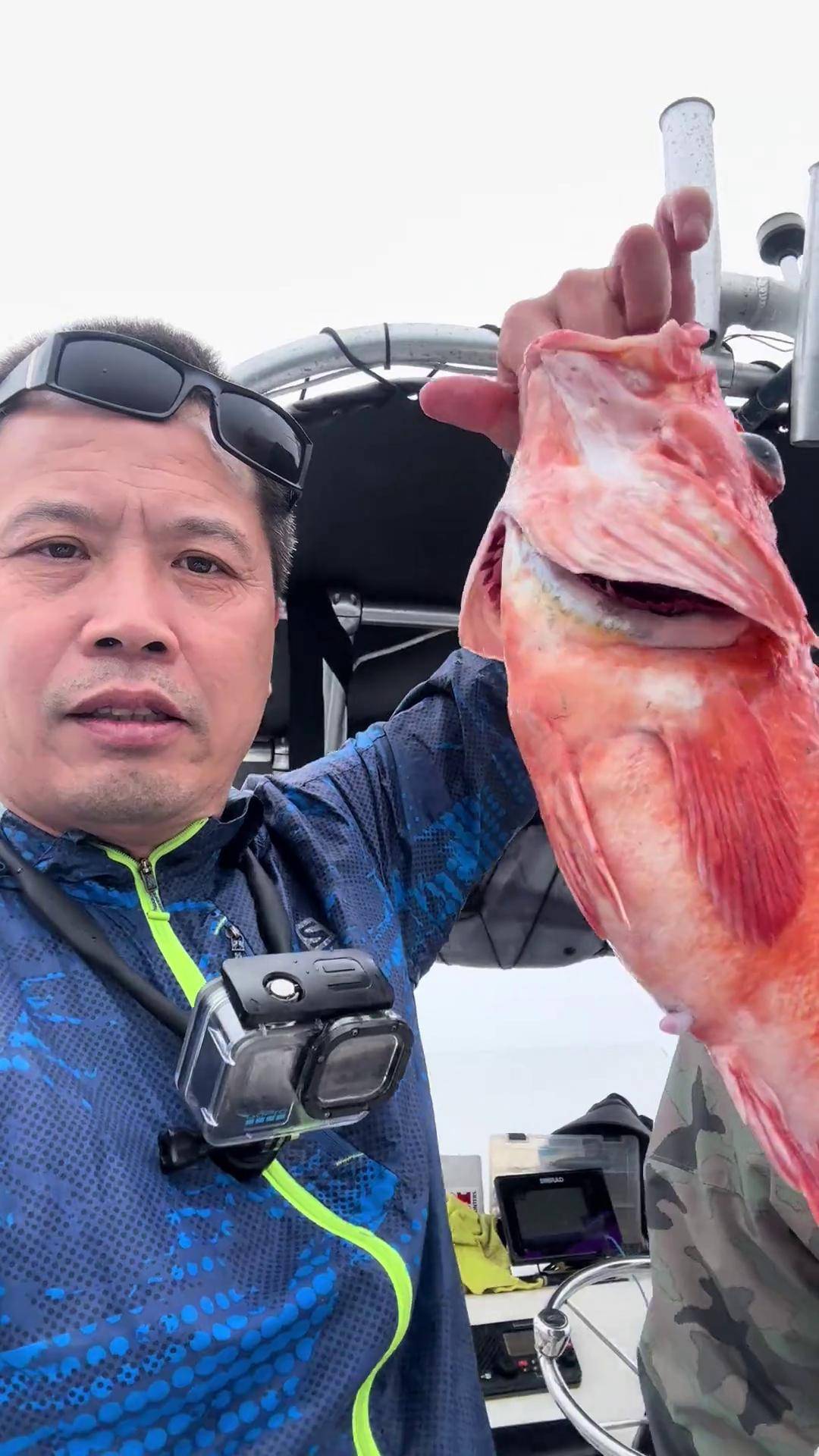 海钓石班条鱼视频(海钓场钓石斑鱼技巧)