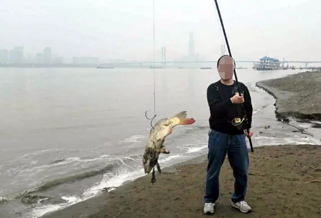 锚鱼技巧视频(锚鱼的视频)