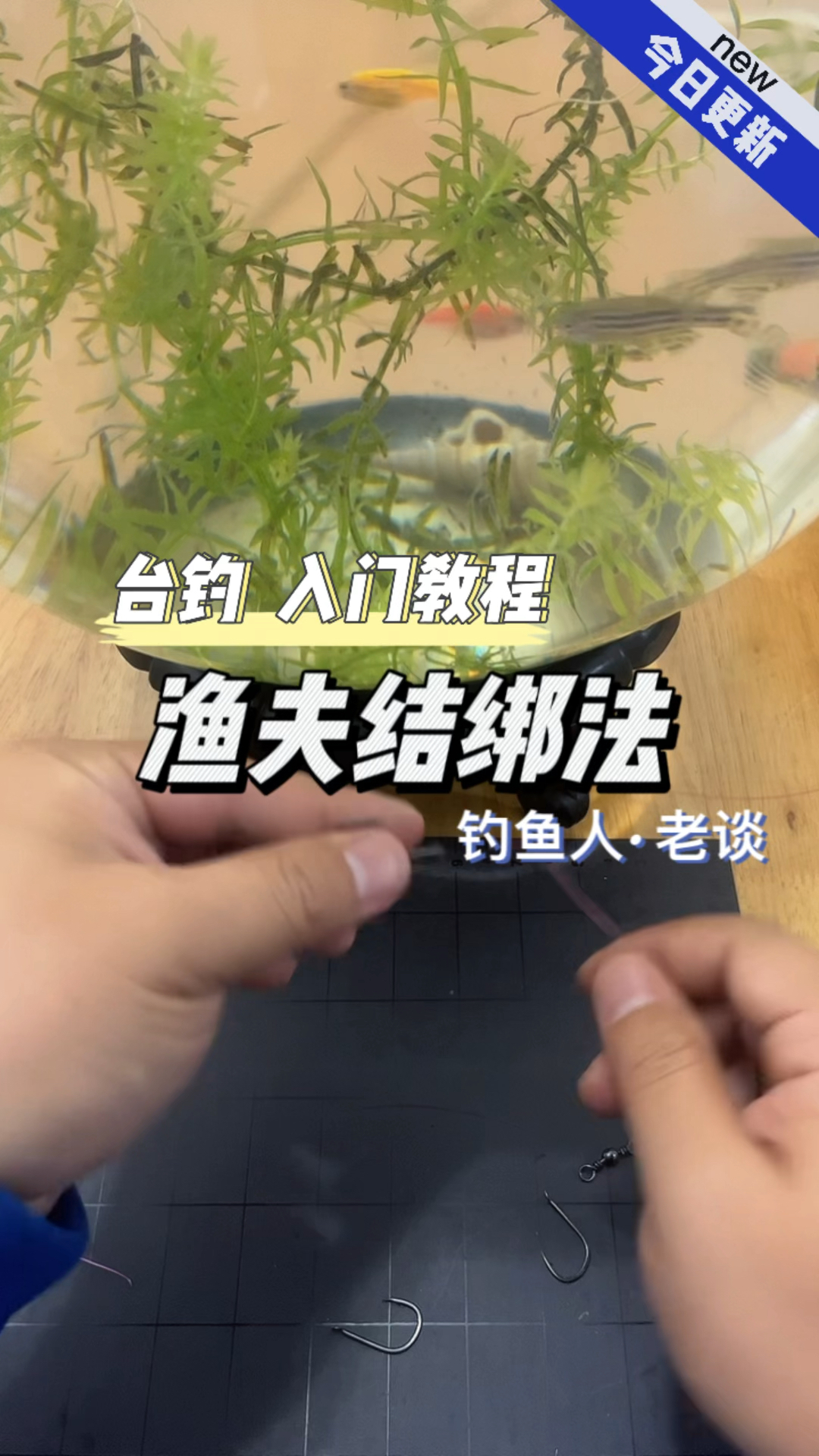 海钓甩钩技巧(海钓甩钩技巧图解)
