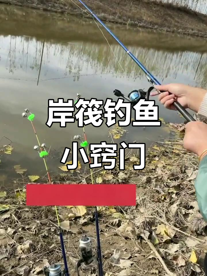 钓鱼抛竿的技巧(钓鱼抛竿技巧怎么准)