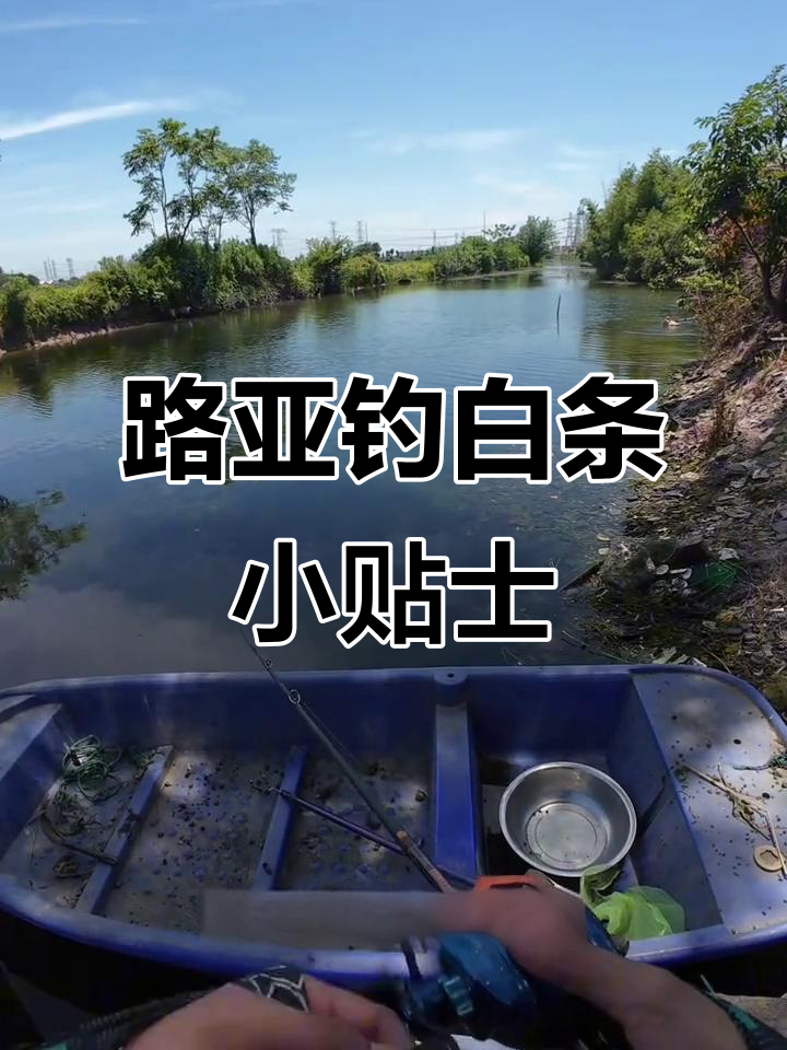 钓白条用路亚(钓白条用路亚竿可以吗)