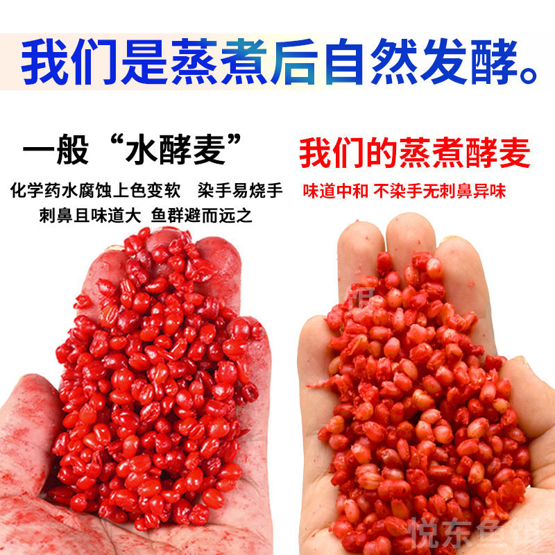 麦子自制饵料(麦子自制饵料视频)