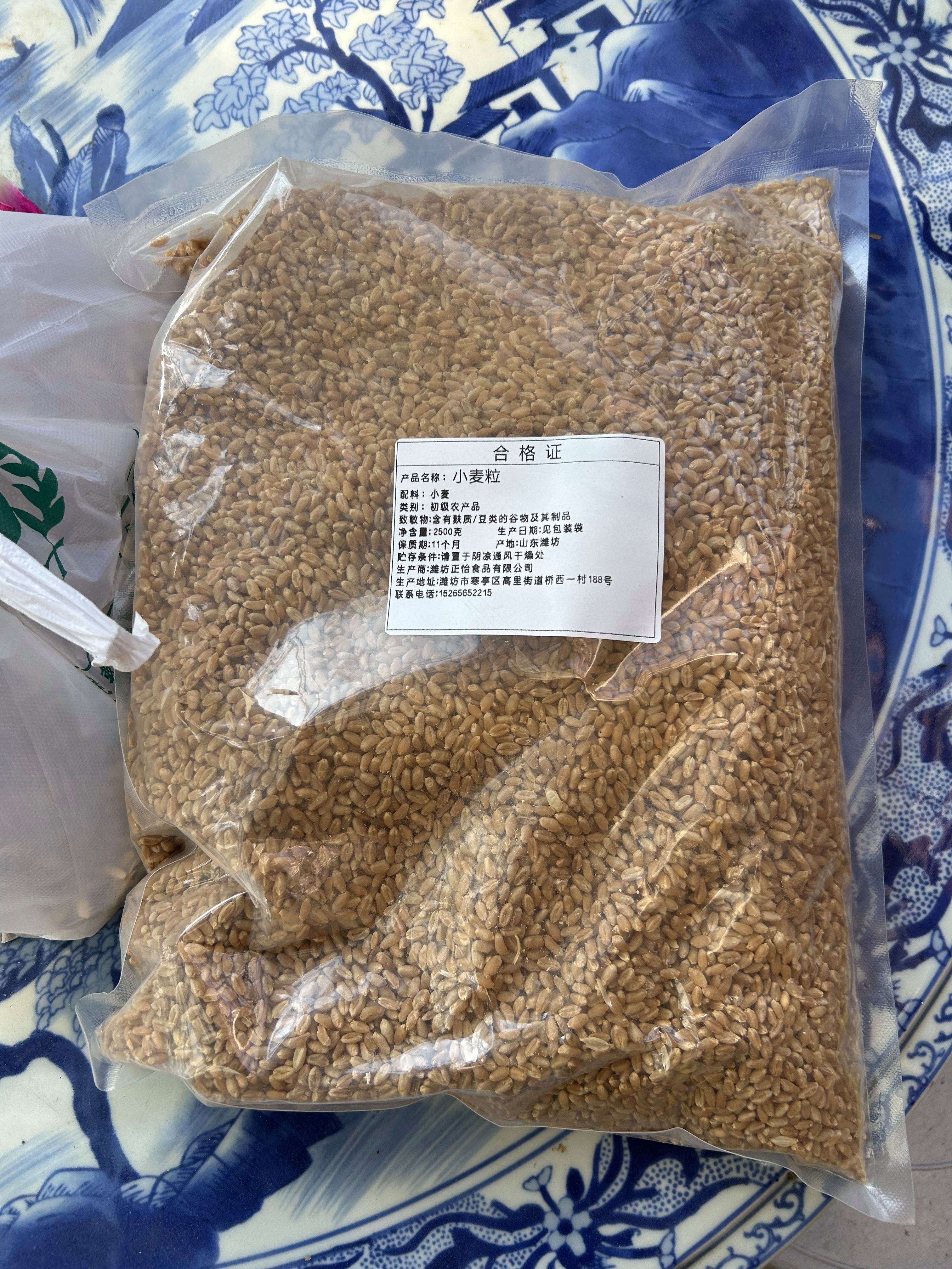 麦子自制饵料(麦子自制饵料视频)