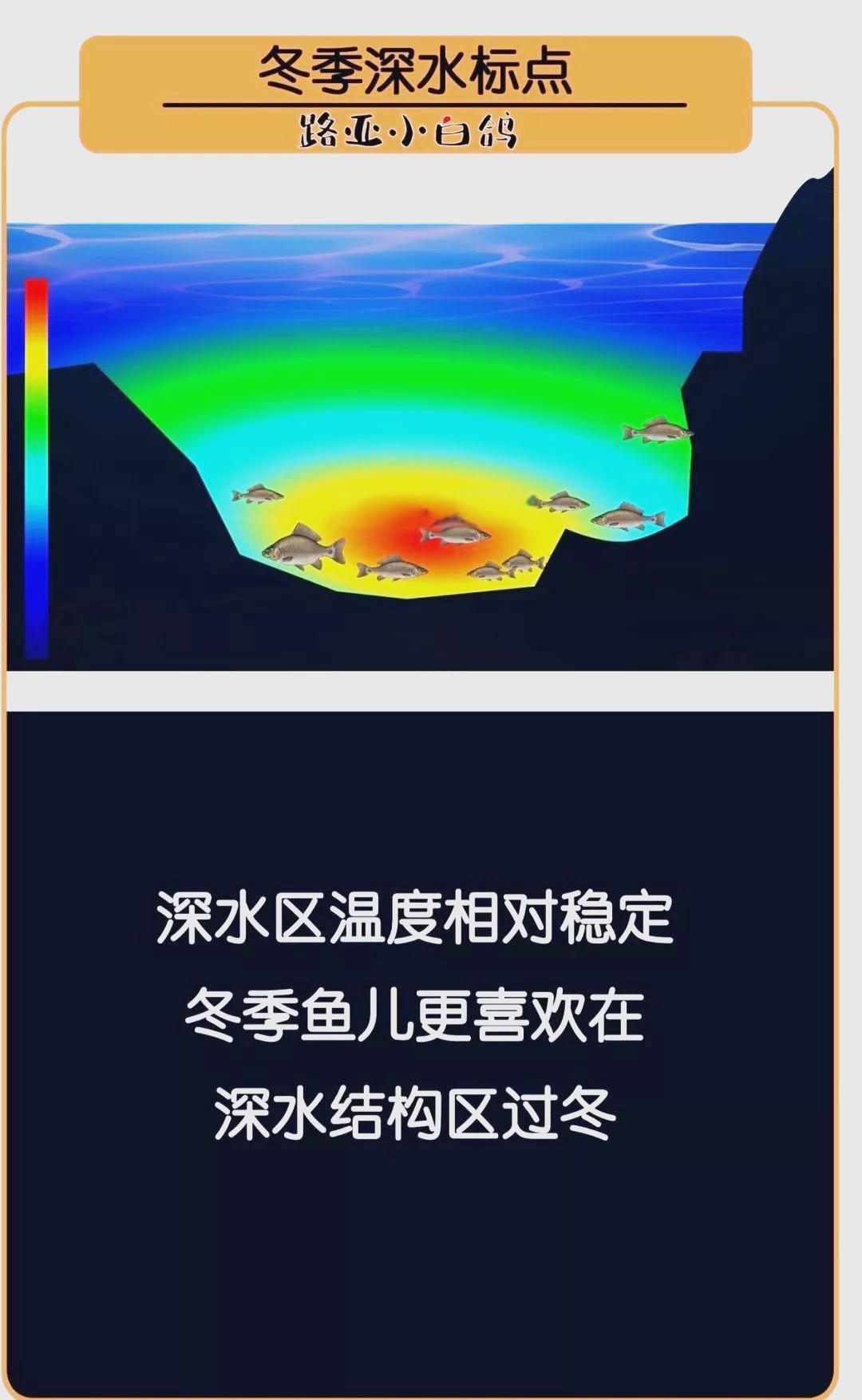冬天锚鱼技巧讲解(冬天锚鱼钩怎么绑?)