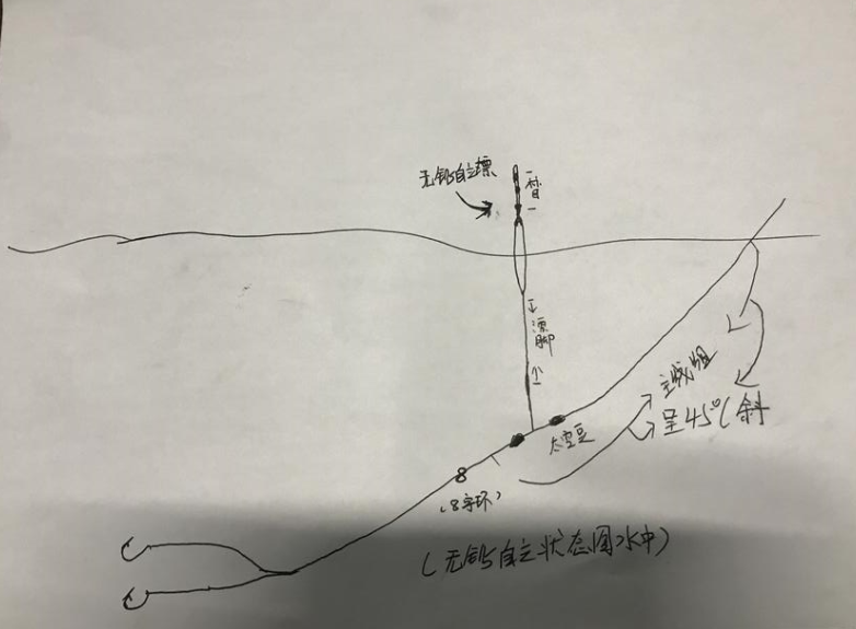 抛钓青鱼技巧(抛竿钓青鱼用什么饵料好)