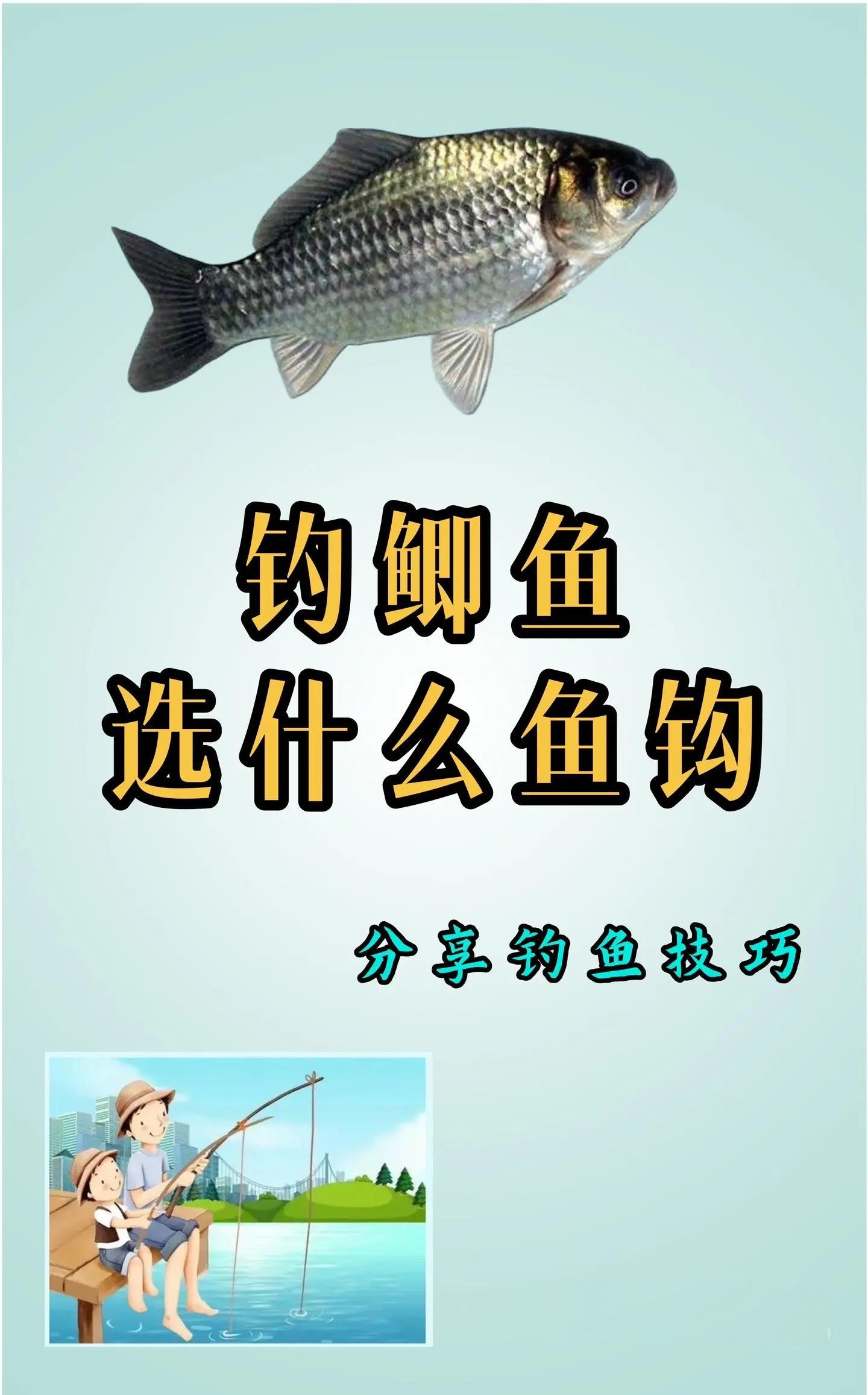 钓鱼鱼钩选择技巧(钓鱼钩子如何选择)